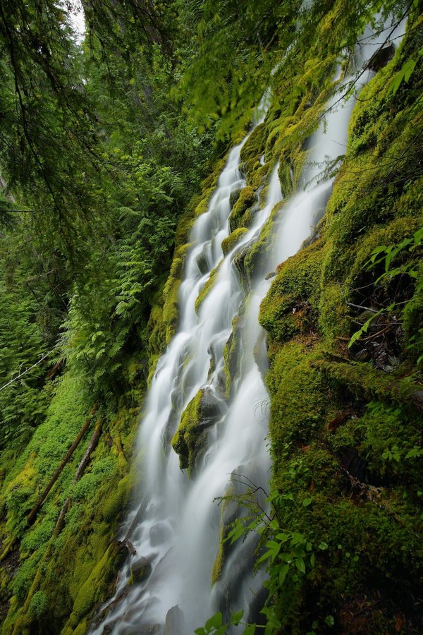 Proxy chromedriver avec selenium et python : automatisez avec des proxies fiables